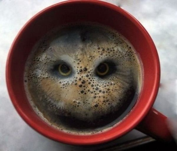 Ngũ cốc trong cà phê tạo nên hình ảnh khá dọa người