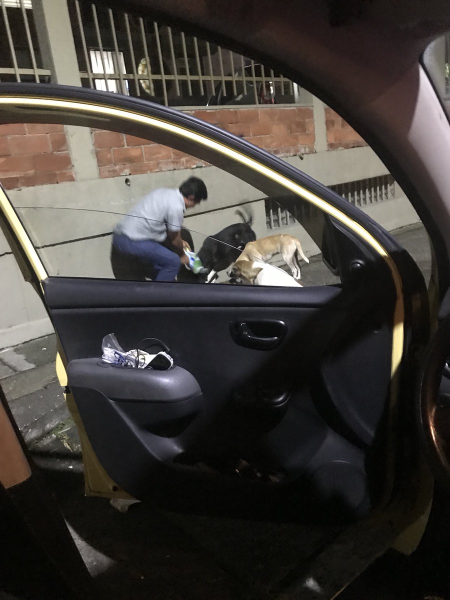 Tài xế taxi xin phép khách dừng lại bên đường một chút để cho những chú chó hoang ăn