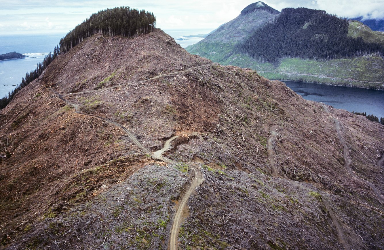 Đồi núi trọc trên đảo Vancouver. Các khu rừng nguyên sinh đang biến mất với tốc độ rất nhanh, và tỉ lệ xuống cấp cao nhất là ở Canada.