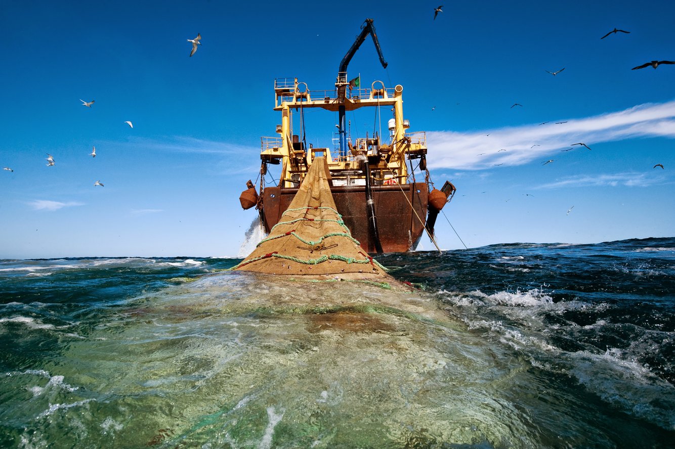 Chiếc tàu đánh cá dài 120m kéo theo một chiếc lưới khổng lồ chứa đầy cá trở về bờ biển Mauritania. Nhu cầu thịt cá của con người ngày càng tăng cao khiến việc khai thác đạt mức kỷ lục vài năm trở lại đây.