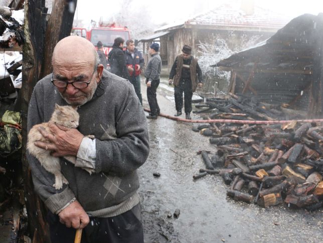   Ông cụ Ali Mese (83 tuổi) đang vỗ về chú mèo con lông vàng sau khi đã mất tất cả tài sản trong vụ hỏa hoạn  