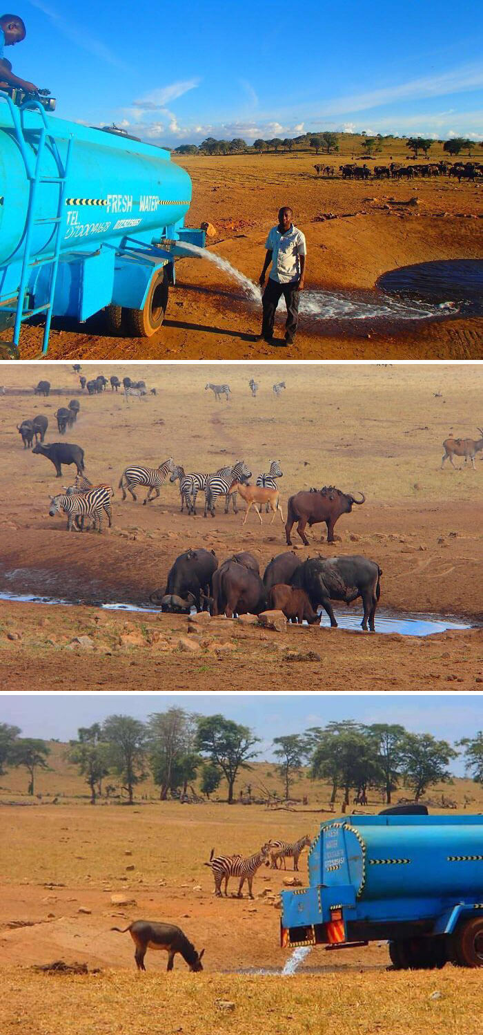   Mỗi ngày, người đàn ông này lái xe hàng tiếng đồng hồ trên hoang mạc để mang nước cho những con vật ở Kenya.  