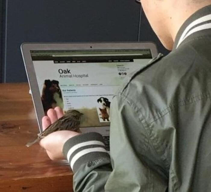   Ở một quán cà phê, tôi thấy chàng trai này đang tìm kiếm trên máy tính về dịch vụ thú y để chữa trị cho chú chim sẻ bị thương mà cậu vừa nhặt được.  