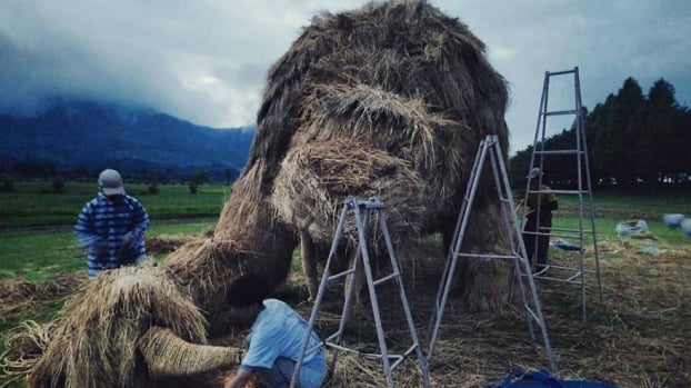 Nghệ nhân Nhật tiếp tục truyền thống làm những con vật khổng lồ bằng rơm rạ sau vụ mùa 4