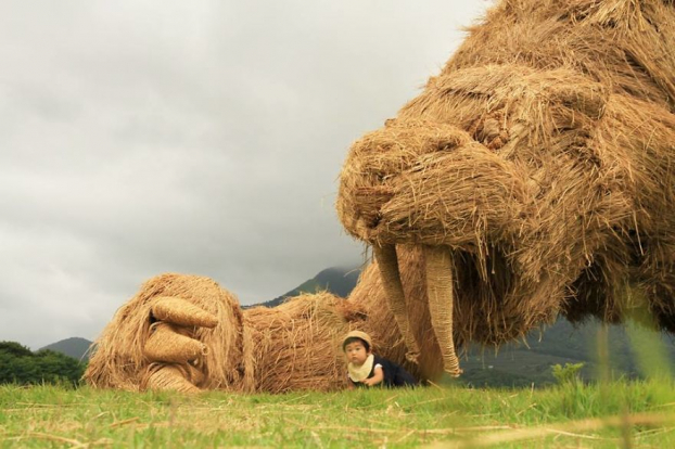 Nghệ nhân Nhật tiếp tục truyền thống làm những con vật khổng lồ bằng rơm rạ sau vụ mùa 5