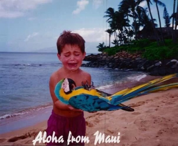  Chuyến đi của tôi đến Hawaii, khoảng 1995  