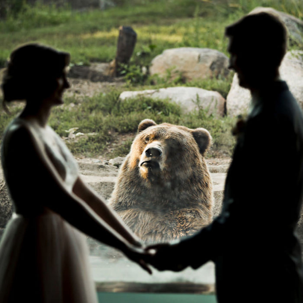   Cặp đôi quyết định kết hôn ở sở thú  