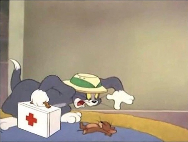   Logic phim hoạt hình: Khi Tom gần giết được Jerry thì nó lại làm mọi cách để cứu sống kẻ thù của mình. Tức là Tom cố gắng cứu một người mà nó vẫn ghét và cố giết mỗi tập phim  