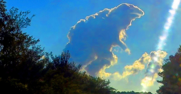   Quái vật Godzilla trên trời  