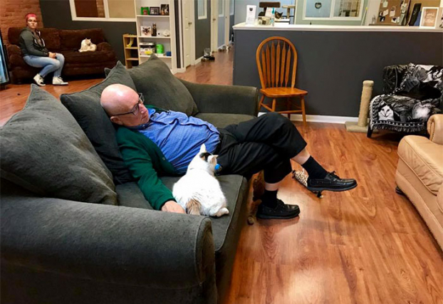 Tình nguyện viên 75 tuổi ngày ngày đến chải lông rồi ngủ cùng mèo ở trạm cứu hộ 0
