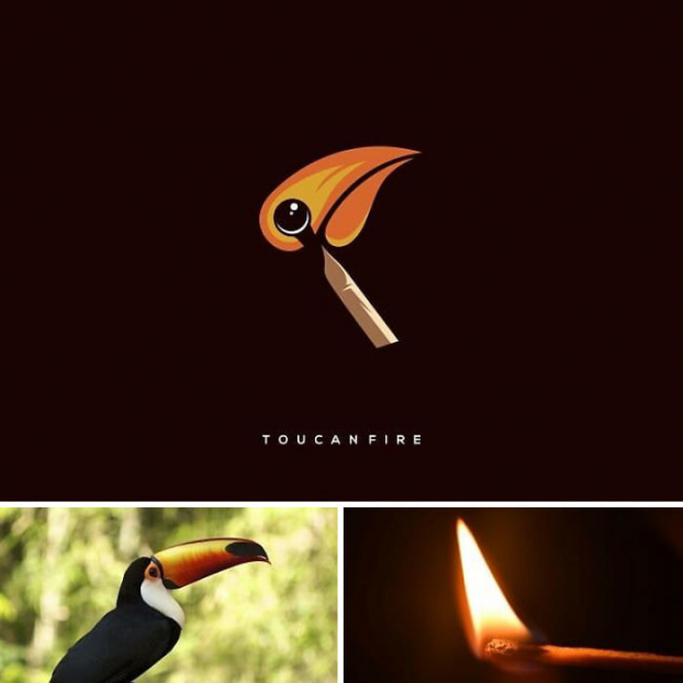   Chiếc mỏ của chim toucan như một ngọn lửa  