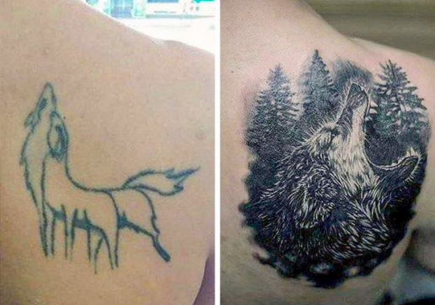   Con sói đã tiến hóa thành công  