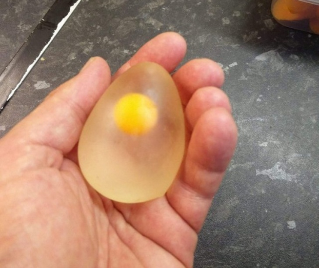   Một quả trứng sống khi được bóc vỏ  
