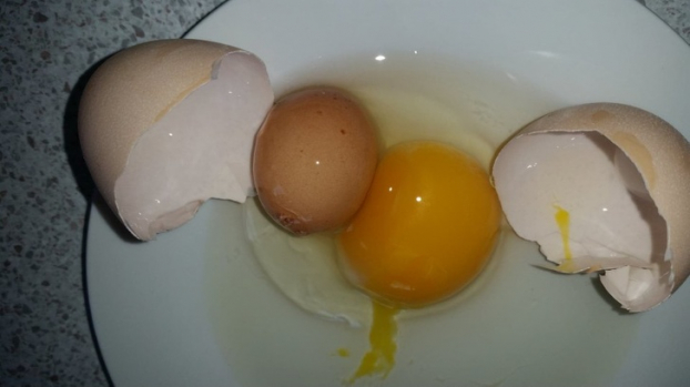   Con gà nhà tôi đẻ một quả trứng to, bên trong có một quả trứng nhỏ  
