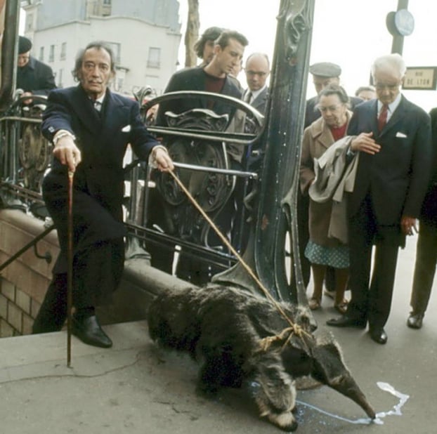   Họa sĩ Dali dắt con thú ăn kiến đi dạo ở Paris, 1969  