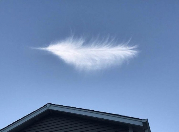   Đám mây trông như chiếc lông chim  
