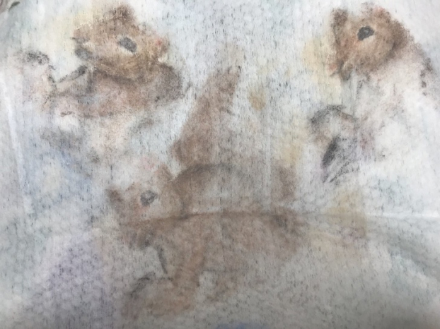   Những vết bẩn trên khăn tẩy trang của tôi trông như 3 chú sóc vẽ bằng màu nước  