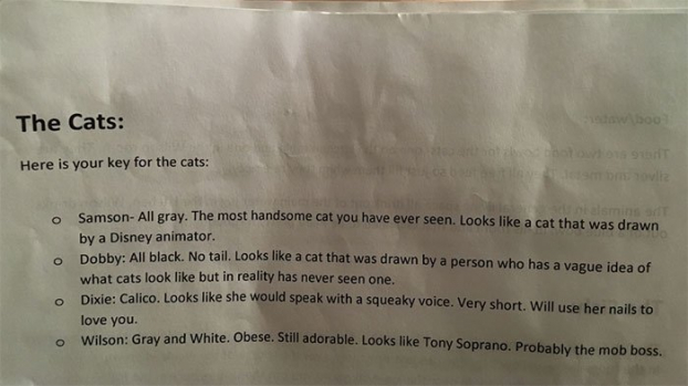 Cô gái trông mèo chia sẻ mô tả của người chủ về các 'boss', bạn sẽ không thể nhịn cười 1