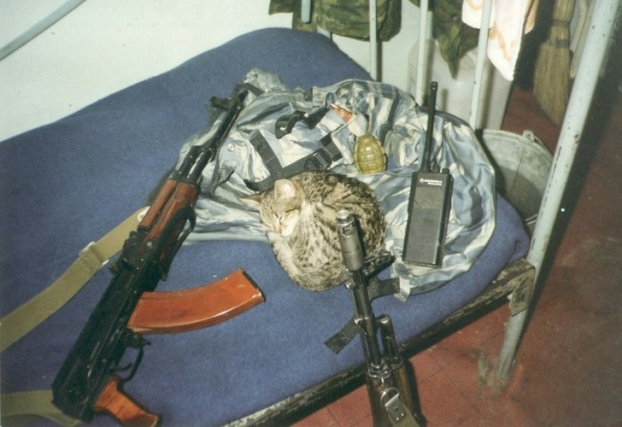   Mèo Nohcha, thú cưng của Lực lượng Cảnh sát Đặc nhiệm Nga tỉnh Kaliningrad đang nghỉ ngơi, Gudermes, Chechnya năm 1994  