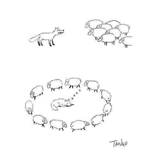   Đếm cừu  