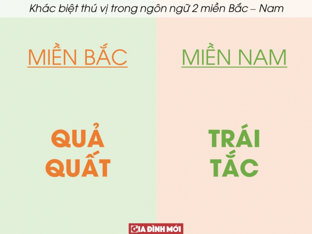 30 ví dụ cho thấy sự khác biệt thú vị trong ngôn ngữ hai miền Bắc - Nam 19