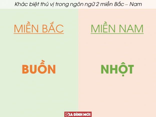 30 ví dụ cho thấy sự khác biệt thú vị trong ngôn ngữ hai miền Bắc - Nam 28
