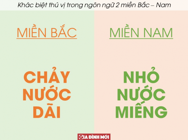 20 ví dụ cho thấy sự khác biệt thú vị trong ngôn ngữ hai miền Bắc - Nam (Phần 2) 1