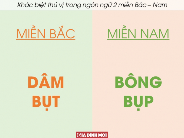 20 ví dụ cho thấy sự khác biệt thú vị trong ngôn ngữ hai miền Bắc - Nam (Phần 2) 7