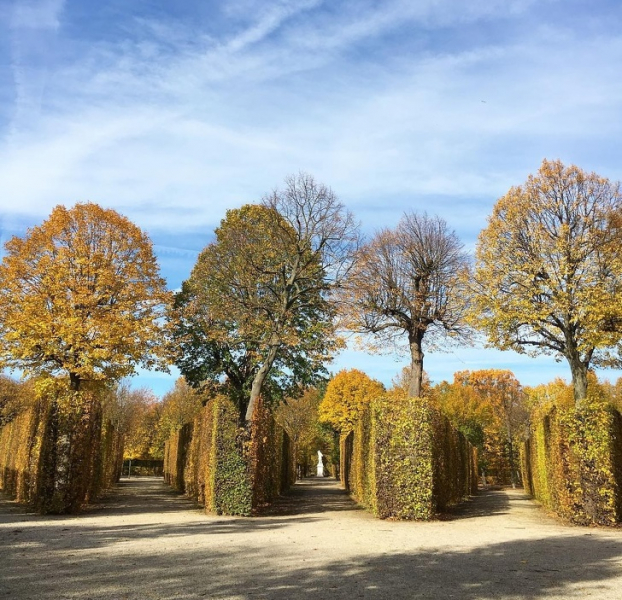   Khu vườn ở Schönbrunn  
