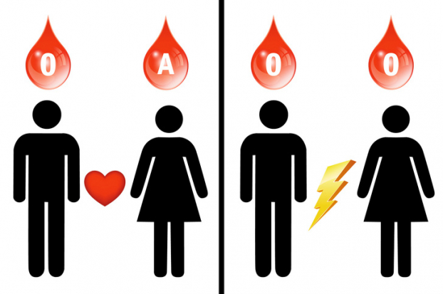 Nếu mang nhóm máu O, bạn nhất định phải biết 6 điều này để giữ tính mạng 5