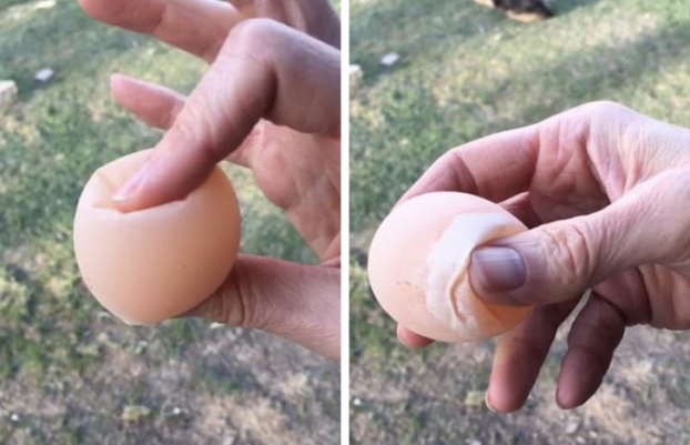   Ngâm một quả trứng sống vào dấm trong 2 ngày, trứng sẽ trở nên mềm dẻo  