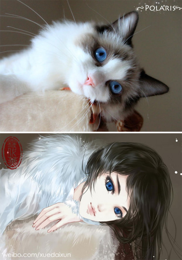 Họa sĩ Trung Quốc minh họa chó mèo phiên bản mỹ nam đẹp hoàn hảo 0