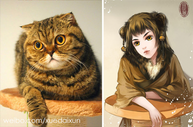 Họa sĩ Trung Quốc minh họa chó mèo phiên bản mỹ nam đẹp hoàn hảo 2