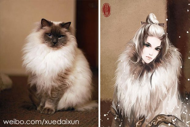 Họa sĩ Trung Quốc minh họa chó mèo phiên bản mỹ nam đẹp hoàn hảo 3