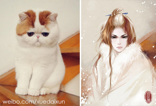 Họa sĩ Trung Quốc minh họa chó mèo phiên bản mỹ nam đẹp hoàn hảo 5