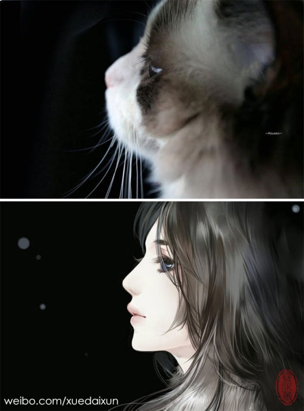 Họa sĩ Trung Quốc minh họa chó mèo phiên bản mỹ nam đẹp hoàn hảo 10