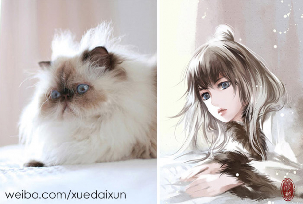 Họa sĩ Trung Quốc minh họa chó mèo phiên bản mỹ nam đẹp hoàn hảo 11