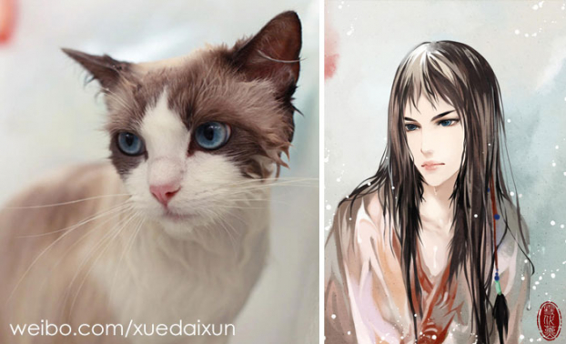 Họa sĩ Trung Quốc minh họa chó mèo phiên bản mỹ nam đẹp hoàn hảo 17