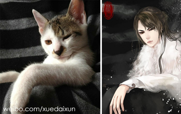 Họa sĩ Trung Quốc minh họa chó mèo phiên bản mỹ nam đẹp hoàn hảo 19