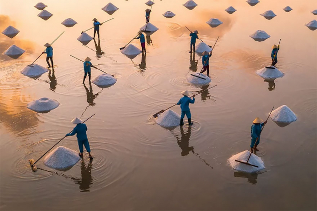   Những công nhân cào muối tại tại Hòn Khói, Khánh Hòa của Phạm Huy Trung  