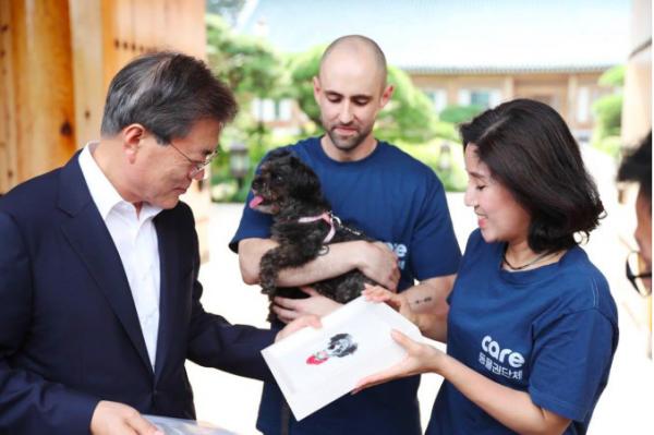 Phẫn nộ: Tổ chức bảo vệ động vật lớn nhất Hàn Quốc bí mật thủ tiêu hàng trăm con chó 3