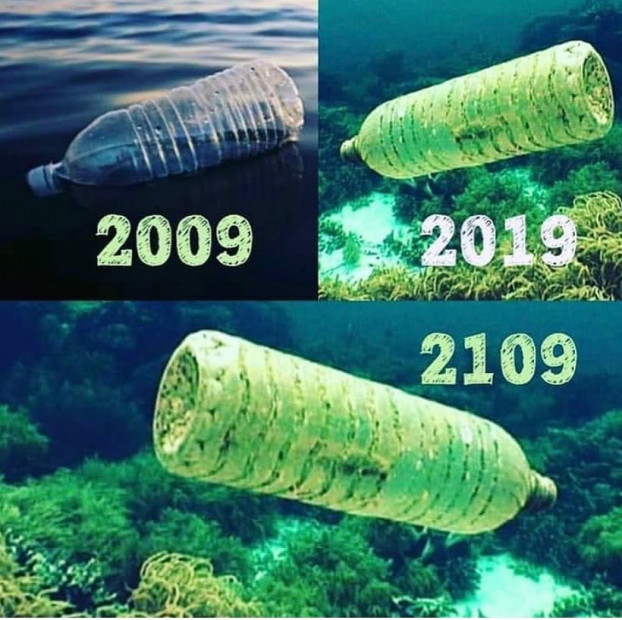   Phải mất 450 năm để một chiếc chai nhựa phân hủy dưới đại dương  