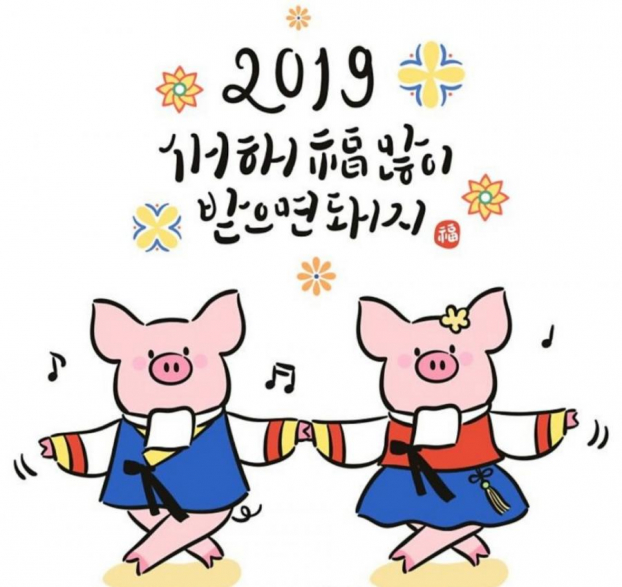 Top 20 câu chúc Tết Nguyên đán Kỷ Hợi 2019 bằng tiếng Hàn độc đáo và ý nghĩa nhất 0