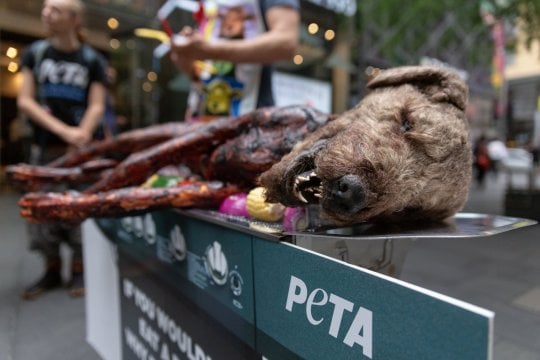   PETA hy vọng mọi người sẽ chuyển sang ăn chay sau khi nhìn thấy những hình ảnh gây sốc này  