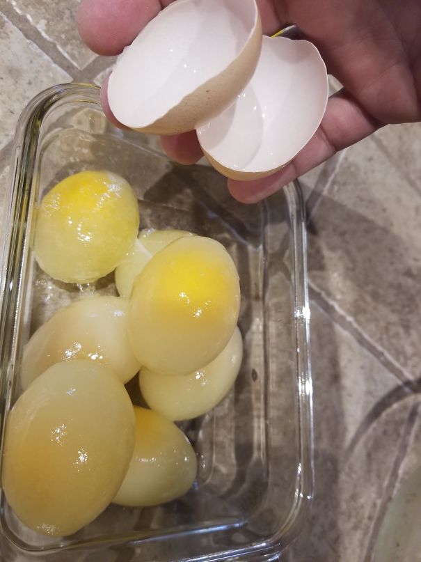   Những quả trứng bị đóng băng  