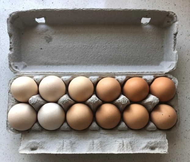   Sắp xếp trứng sao cho nghệ thuật  