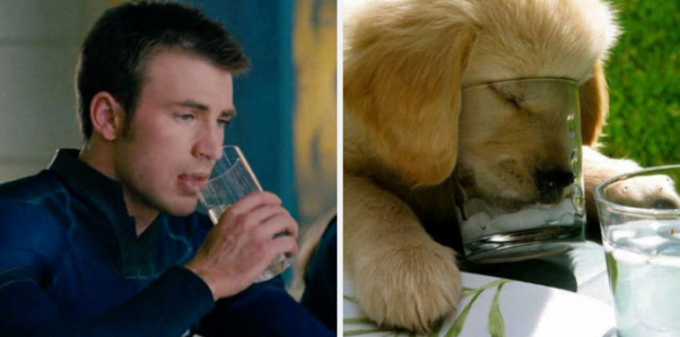 Hài hước loạt ảnh giống nhau kỳ lạ giữa tài tử Captain America và chó Golden Retriever 12