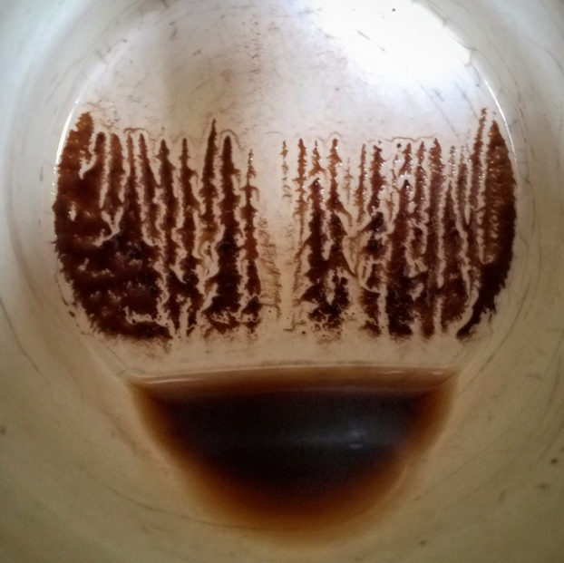   Một bức tranh khu rừng được tạo ra từ cặn cà phê ở đáy cốc  