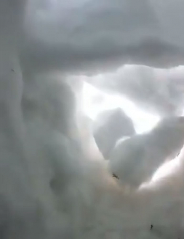   Trong một buổi huấn luyện cho chú chó, một tình nguyện viên đã mang theo camera rồi tự vùi mình trong tuyết  