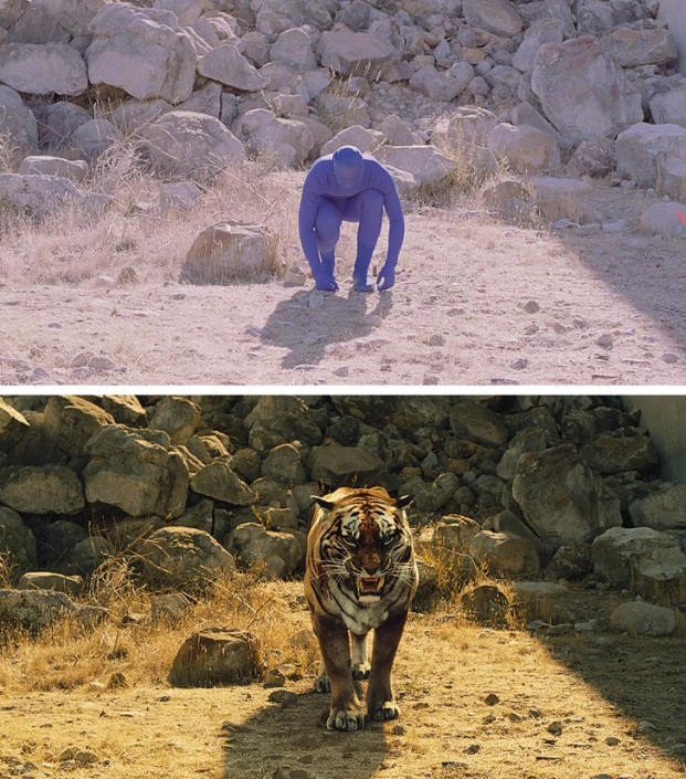   Trong Westworld, con người vào vai con hổ  